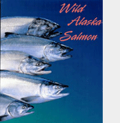 Wild Alaska Sockeye Salmon on Ice